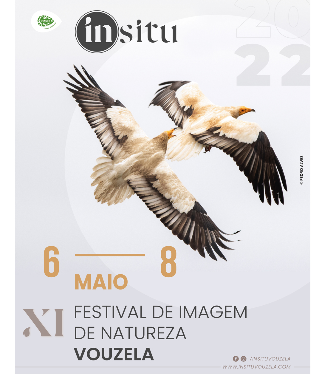 Imagem Festival