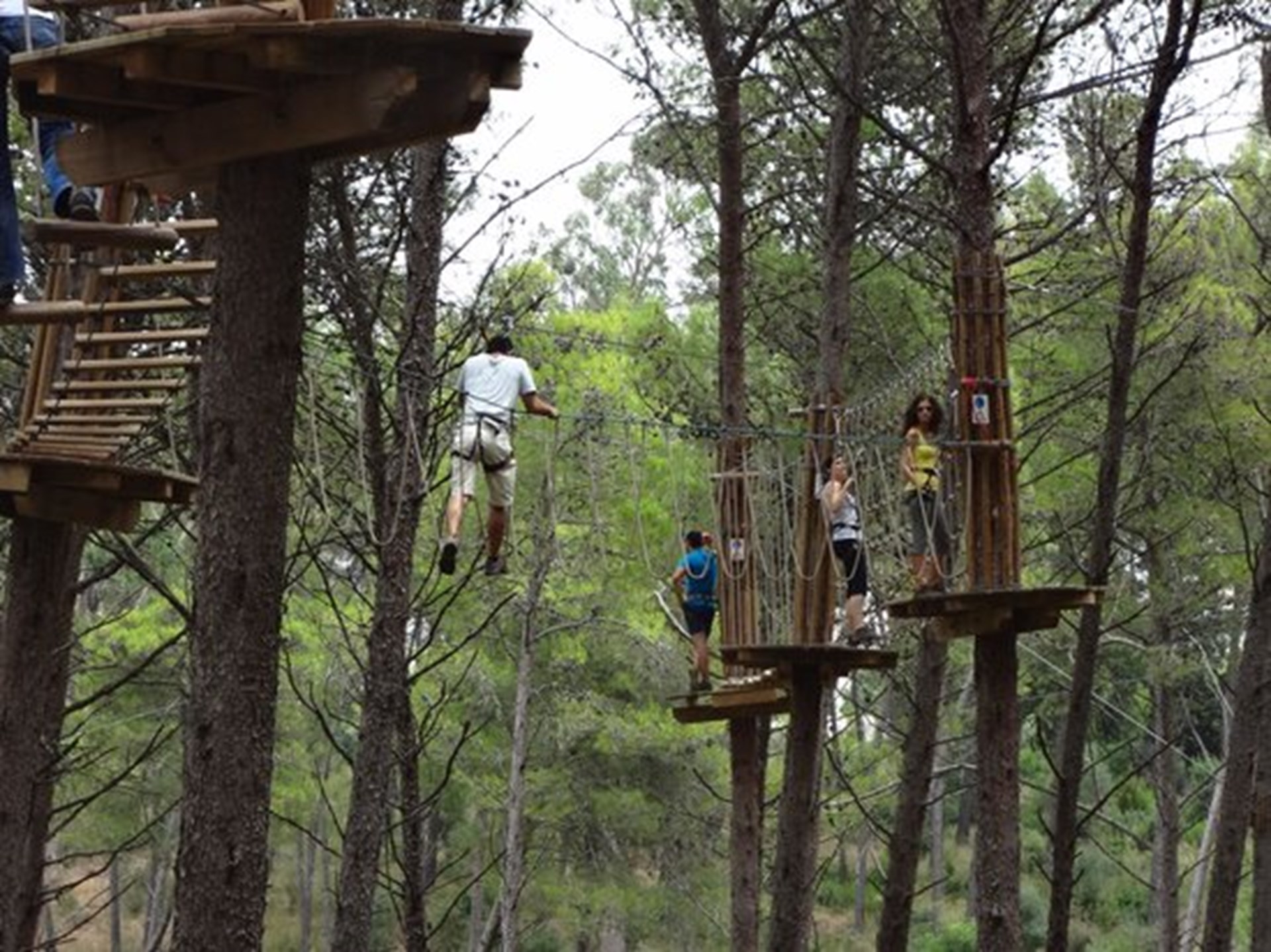 Mega Treetop Walking Circuit at Jamor